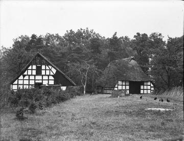 Bauernhof in Sandbrink am Dümmer.