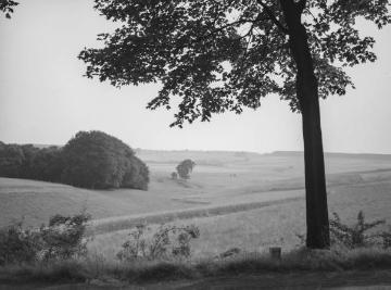 Landschaft der trockenen Dörfer bei Paderborn, 1958.