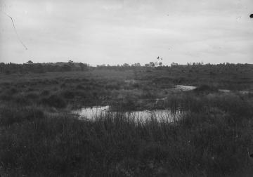 Das heute nicht mehr existierende Petersvenn bei Westbevern 1912. Älteste bekannte Landschaftsaufnahmen von Dr. Hermann Reichling.