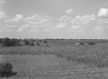 Landschaft in der Umgebung des Dümmersees, ca. 1940.