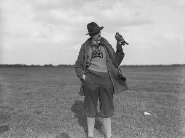 Falkner Dr. Lauring mit seinem Merlin auf einer Beizjagd in Meppen anlässlich der Tagung des Deutschen Falkenordens am 30. März 1930. Fotodokumentation des Ornithologen Dr. Hermann Reichling zum Jagdeinsatz von Greifvögeln.