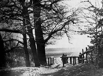 Winterliche Feldflur bei Haus Lütkenbeck, um 1930?