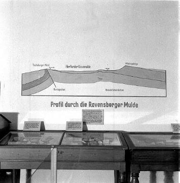 Geologisches Profil durch die Ravensberger Mulde (Exponat im Heimatmuseum Daniel-Pöppelmann-Haus, Herford)