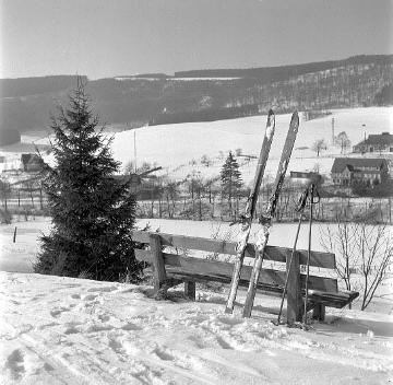 Verschneite Wiesen am Ortsrand von Elkeringhausen