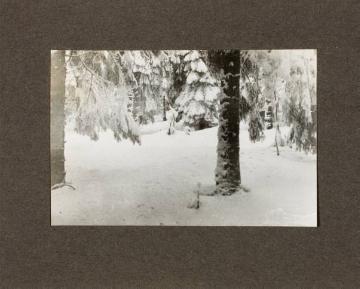 Winterimpressionen aus dem Sauerland (?), in: Fotoalbum Richard Schirrmann: "Wanderführerlehrgang", undatiert