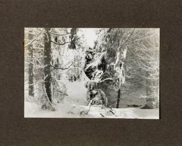 Winterimpressionen aus dem Sauerland (?), in: Fotoalbum Richard Schirrmann: "Wanderführerlehrgang", undatiert