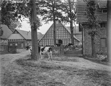 Sattelmeierhof Meyer-Johann, Enger-Oldinghausen. Bildmitte: Haupthaus von 1715. Undatiert, 1940er Jahre?
