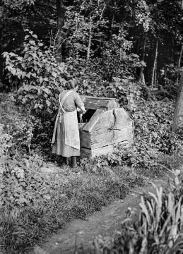 Bäuerliche Hauswirtschaft: Bäuerin beim Wasserholen am Ziehbrunnen. Vermutlich Ostwestfalen. Ohne Angaben, undatiert, um 1940?