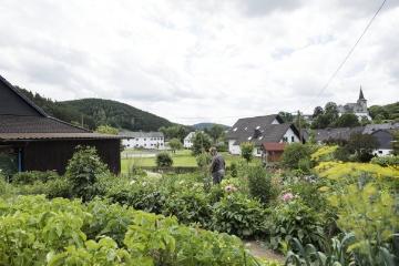 Menschen in Elsoff: Zu Besuch bei Erna und Georg Zacharias - der Hausherr bei der Gartenarbeit. Juli 2016, Am Reitelsberg.