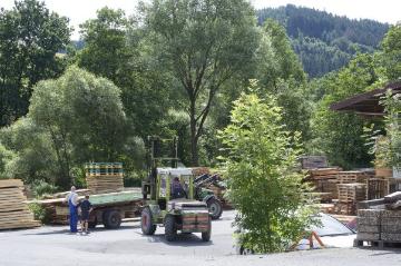Wirtschaft in Elsoff:  Dornbachsmühle Grauel GmbH & Co. KG, Sägewerk und Holzgroßhandel mit Zimmerei in der Vogteistraße 21. Werksbesuch im Juli 2020.