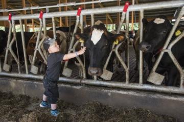 Wirtschaft in Elsoff - Milchhof Markus Zacharias: Kühe in Offenstallhaltung mit Direktzugang zur Weide. Hofbesuch im Juli 2016, Unterm Rüttel 5.