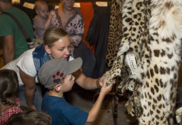 Tag der Offenen Tür im Gerbereimuseum Enger, August 2015: Kinder erkunden den Fellfundus des Museums, darunter die Felle von heute geschützten Tierarten aus einer Kürschner-Schule.
