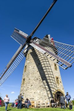 Die Liesbergmühle in Enger, Mai 2015 (Tag der Offenen Tür) - auf einer Anhöhe von 118 Meter Höhe errichtet 1756, stillgelegt 1960, Wahrzeichen der Stadt.