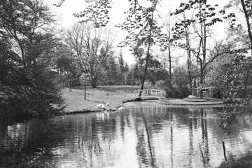 Bad Hamm, Sole-Kurbad 1882-1955: Teich mit Brücke im Kurpark. Undatiert.