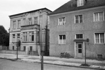 Hamm, Stiftsstraße mit junger Alleepflanzung. Links: Villa Stiftsstraße 10 (in den 1930er Jahren: Rechtsanwalt Dr. jur. Franz Biermann), rechts: Wohnhaus Stiftsstraße 8. Undatiert.