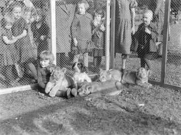 Hermann Reichling, Familie: Sohn Dietrich mit Löwenwelpen im Zoologischen Garten Münster nahe der Zoo-Villa "Tuckesburg", seinerzeit Wohnsitz der Familie, um 1926.