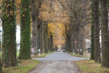 Bönen, Kamener Straße: Allee Richtung Ortsteil Bramey. Vorn: Zufahrt zu Haus Brüggen. November 2016.