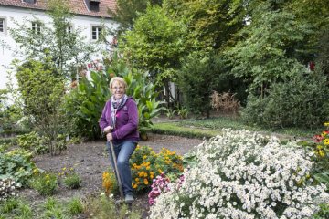Klostergarten des Kapuzinerklosters Werne. Aktiv in der Gartenpflege: Doris Perus vom "Freundeskreis Klostergarten". November 2014.