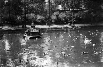 Im Zoologischen Garten an der Aa in Münster - gegründet von Zoologieprofessor Dr. Hermann Landois, 1875 eröffnet als erster Zoo Westfalens. Undatiert, geschätzt 1920er Jahre.