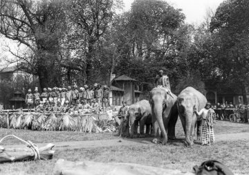 Völkerschau im Zoologischen Garten Münster, 1925 - veranstaltet zur Feier des 50-jährigen Jubiläums der Zoogründung 1875 durch Zoologieprofessor Hermann Landois.