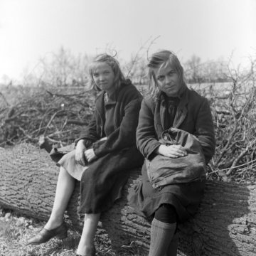 Zwei Mädchen aus der Stadt, Hamstern in Raesfeld