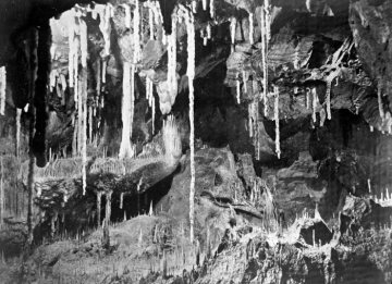 In der Attendorner Tropfsteinhöhle (Atta-Höhle), entdeckt 1907, Naturdenkmal