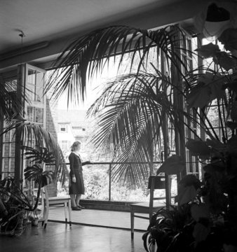 Westfälische Klinik für Psychiatrie Gütersloh: Foyer einer Krankenstation, 1960.