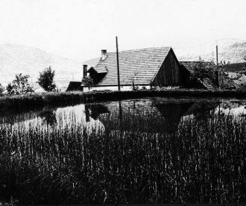 Röhrichtbewachsener Teich vor der Höh-Mühle
