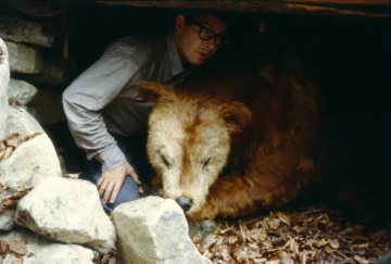 "Grotte des schlafenden Bären", Installation an der Promenade mit Künstler Mark Dion (USA) - skulptur projekte münster 97