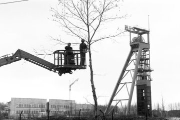 Baumschnitt im Erin-Park, Castrop-Rauxel, einem Gewerbe- und Landschaftspark auf dem Gelände der 1983 stillgelegten Zeche Erin. Rechts: Ehemaliger Förderturm (Industriedenkmal). Februar 1994.