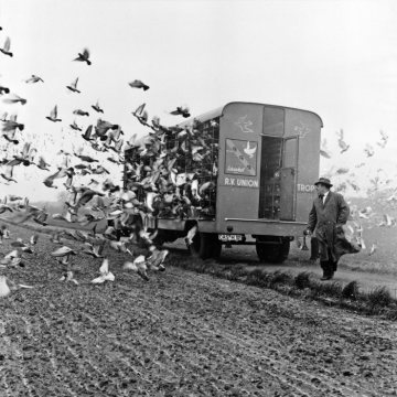 Brieftaubenzüchterverein "Reisevereinigung Castrop-Rauxel-Nord" auf einem Taubenausflug im Grünen, undatiert, 1970er Jahre