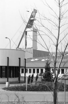 Zeche Prosper-Haniel (Verbundbergwerk), Bottrop, März 1982. Zechenschließung im Dezember 2018.