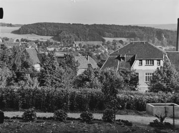 Waldgebiet Oberhagen zwischen Warstein-Zentrum und Ortsteil Suttrop, ab 1985 Naturschutzgebiet. Undatiert.