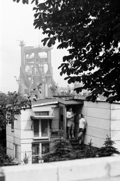 Taubenzüchter, Hattingen, 1976. Im Hintergrund: Kulisse der Henrichshütte.