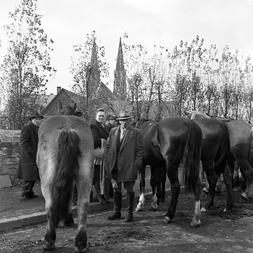 Allerheiligenkirmes in Soest: Pferdemarkt mit Blick zur Kirche St. Maria zur Wiese