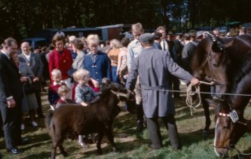 Pferdemarkt Telgte, 60er Jahre: Besucher an der Reitpferdeabteilung