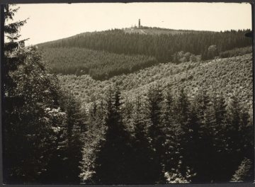 Fernblick zum Kindelsbergturm bei Kreuztal, 1907 eingeweiht