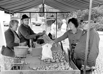 Kartoffelhändler auf dem Castroper Wochenmarkt, Juni 1978.