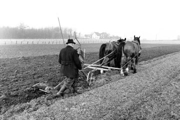Pflügender Bauer mit Pferdegespann bei Castrop-Rauxel-Pöppinghausen. März 1972
