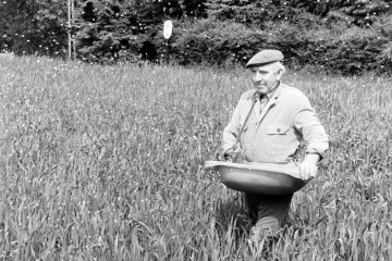 Landwirt beim Düngen seines Ackers. Castrop-Rauxel-Frohlinde, Juni 1991.