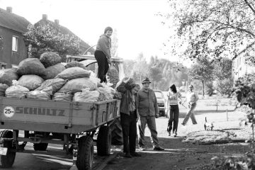 Anlieferung von Einkellerungskartoffeln per Traktor. Castrop-Rauxel, Oktober 1978.