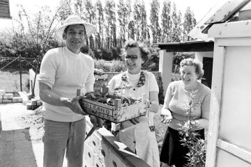 Pflanzzeit in einer Kleingartenanlage bei Castrop-Rauxel, Mai 1978.