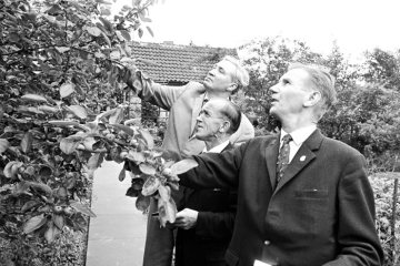 Wettbewerb "Der schönste Kleingarten": Prüfungskomitee auf dem Rundgang durch eine Kleingartenanlage in Castrop-Rauxel, undatiert, 1960er Jahre.
