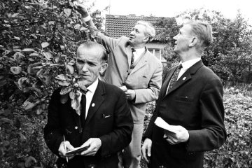 Wettbewerb "Der schönste Kleingarten": Prüfungskomitee auf dem Rundgang durch eine Kleingartenanlage in Castrop-Rauxel, undatiert, 1960er Jahre.