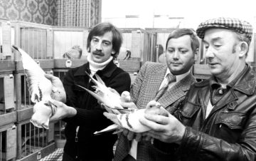 Stolze Taubenzüchter - Saisonsieger - Taubenausstellung am 14. Januar 1980 in der Gaststätte Schmidt am Markt, Castrop-Rauxel-Ickern.