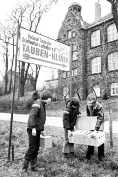 Jugendliche Taubenzüchter auf dem Weg zur Taubenklinik. Essen, März 1973.