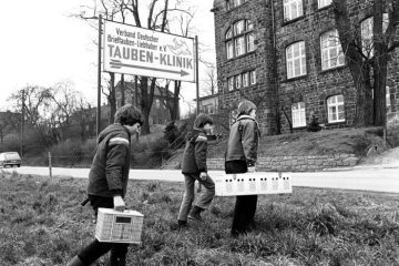 Jugendliche Taubenzüchter auf dem Weg zur Taubenklinik. Essen, März 1973.