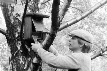 Reinigung von Nistkästen - Vogelschutzinitiative des Naturschutzbundes Deutschland (NABU), Juni 1983. Standort unbezeichnet.