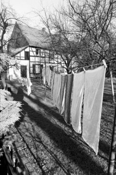 Waschtag, Castrop-Rauxel-Dingen, Februar 1982.