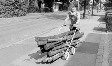 Brennholztransport per Kinderkarre. Castrop-Rauxel, August 1993.